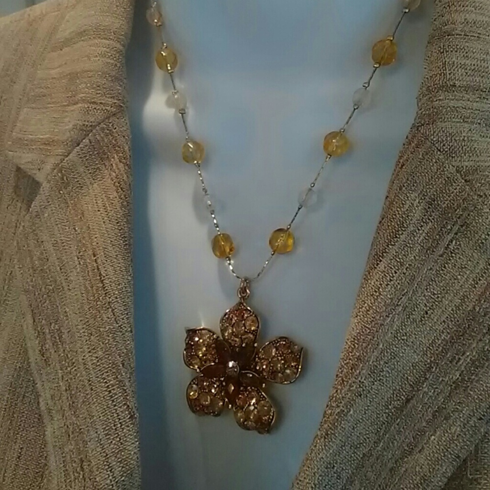 Beautiful Amber Pendant NWOT